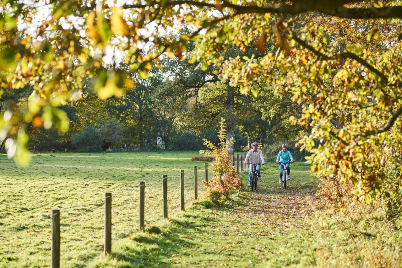 ホテル Whitemead Forest Park リドニー エクステリア 写真